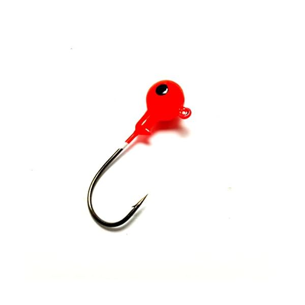RAH-Fishing-Jigs-44pcs-Lot-With-Fishing-Tackle-Box-Fishing-Hooks-Saltwater-Set-Kit-Freshwater-Fish-Jig-Heads-2g-4g-6g-8g-10g RAH-Fishing-Jigs-44pcs-Lot-With-Fishing-Tackle-Box-Fishing-Hooks-Saltwater-Set-Kit-Freshwater-Fish-Jig-Heads-2g-4g-6g-8g-10g