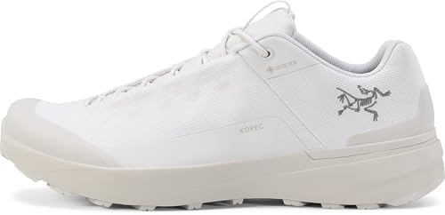 Amazon.com: Arc'teryx Aerios FL GTX Exosphere/Rhapsody 6.5 B (M