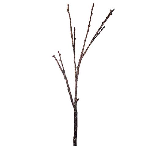 EUROCINSA Ref.82335C79 Brown Tree Branch, Box of 12pcs, 93 cm