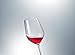SCHOTT ZWIESEL Forté White Wine Glasses (Set of 8), Wine Glasses for White Wine, Dishwasher-Safe Machine-Made Tritan Crystal glasses, Made in Germany (13.6 Ounce)