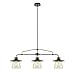 Globe Electric 64845 Nate 3-Light Pendant, Oil Rubbed Bronze, Clear Glass Shades primary