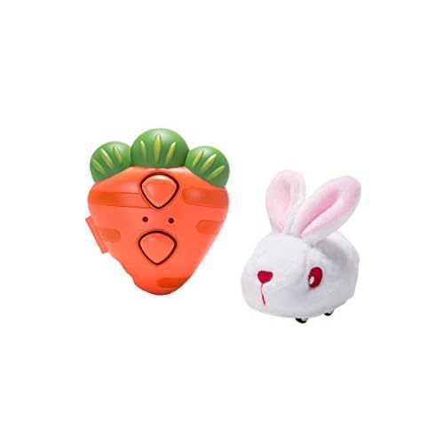 remote control rabbit dog toy