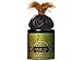 Kama Sutra Sweet Honeysuckle Honey Dust Body Powder -- 8 oz