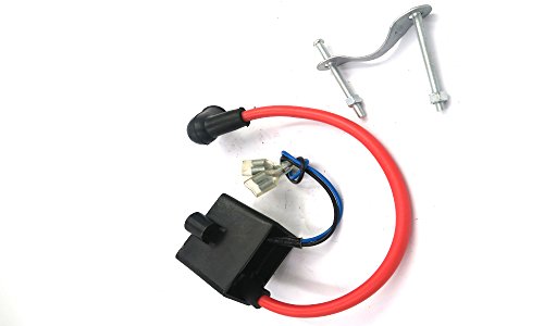 CDHPOWER Higher Performance Capacitor Discharge Ignition - CDI - Coil/Performance CDI Electron Ignition Coil for 66/80cc Gas Motorized Bicycle