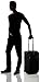 Victorinox Werks Traveler 5.0 WT Softside Upright Luggage, Black, Carry-On (22