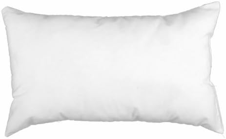 Famous Maker 12in X 20in Feather Down Pillow Form White Pillow