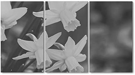 3パネル ウォールアート風景絵画 壁画 新入荷 流行 黄色い水仙の花クローズアップぼやけて背景 キャンバスアートホームデコレーション フレームと50 壁ポスター 3 黒と白 部屋飾り 70センチメートル 壁飾り