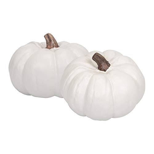 Elanze Designs Classic White 6 inch Resin Harvest Decorative Pumpkins Pack of 2 - //medicalbooks.filipinodoctors.org