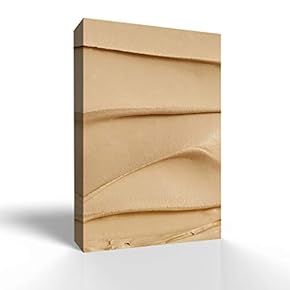 Canvas Wall Art Minimalism Style Pictures Home Wall Decorations for Bedroom Living Room Paintings Canvas Prints Framed - 12x18 inches