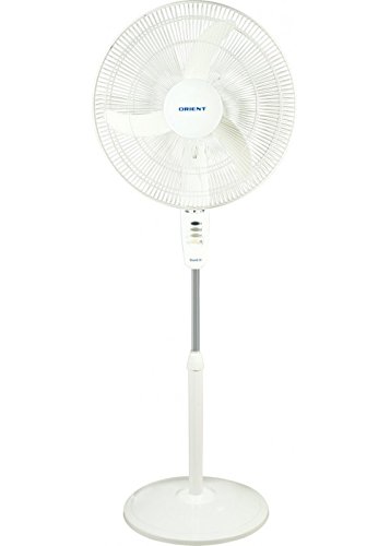 Buy Orient Stand 38 Fan Crysal White Online At Low Prices In