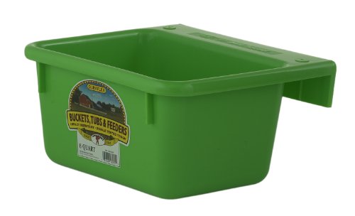 Little Giant 6-Quart Dura-Flex Plastic Feeder, Mini, Lime Green