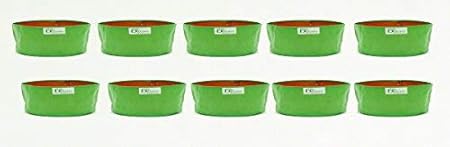 BIO BLOOMS AGRO INDIA PRIVATE LIMITED Plastic Grow Bag, Multicolour, 18x18 inch, Pack of 10