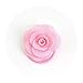 Baby Girls Hair Ties Rope,13PCS Small Seamless Hair Bands Ponytail Holder No Damage Flower Hairbands for Kids Toddlers