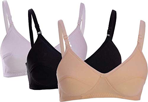 Daily Touch Womens Cotton Padded Non-Wired Regular Bra Combo (Pack of 3) Daily Touch Womens Cotton Padded Non-Wired Regular Bra Combo (Pack of 3)