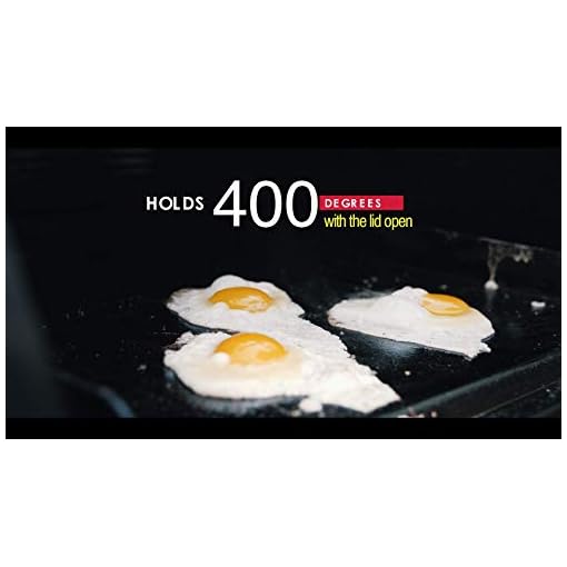 BBQ Hack Griddle Hack Pancakes, Omelettes, Bacon, Stir Fry, Smash