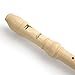 Eastar ERS-21GN ABS German Descant Soprano Recorder C Key With Fingering Chart Cleaning Rod and Bag,Natural