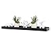 Wallniture Modern Home Decor Floating Picture Ledge Shelf Tray Storage Black 31.50 Inch