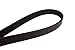 Continental OE Technology Series 4060922 6-Rib, 92.2