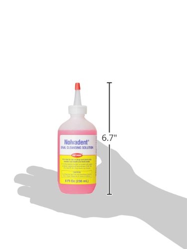 Fort Dodge Animal Nolvadent Oral Cleansing Solution Bottle, 8-Ounce