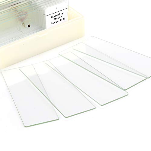 Prepared Microscope Slide Set 10+5Blank Slides for Basic Biological Science Education Specimen - Thumbnail 5