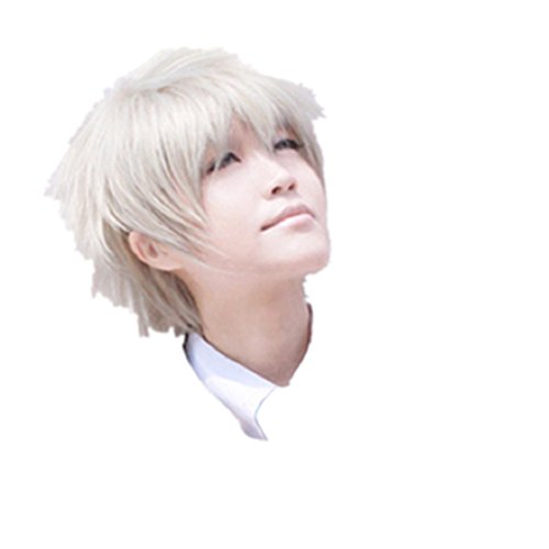 Final Fantasy 13 Hope cosplay costume wig