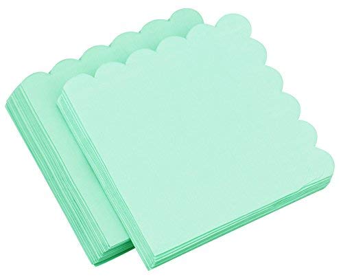Paper Napkins 40 Pcs (Mint Green| Floral Edge) for Birthday Parties, BBQ, Receptions, Meetings, Weddings, Celebrations and Events — FiveSeasonStuff