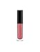 Anastasia Beverly Hills Lip Gloss ~ Travel Size 0.07 oz ~ (Metallic Finish) St. Tropez