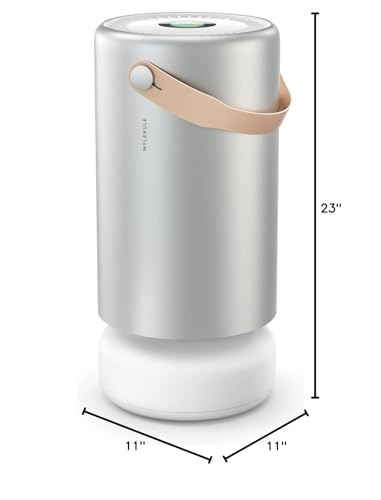 Molekule Air Pro Air Purifier - Purifies Rooms Up to 1000 Sq Ft with High Foot Traffic - FDA Cleared for Destruction of Viruses, Bacteria & Mold - Silver