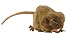 HANSA Mouse Plush, Brown