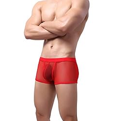 Laxier 2 Pack of Men Boxer Briefs Transparent