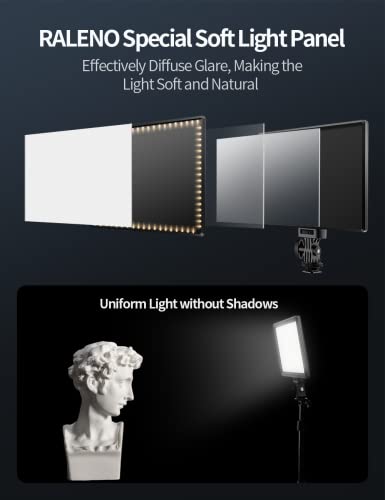 RALENO 9" LED Video Light, 4000mAh Rechargeable Camera Light with Mini Stand