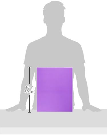 Crossbow Education: Monitor Overlay 19inch - Purple - Image 4