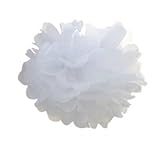 Pom Poms 6 Pack 10