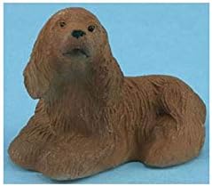 miniature american cocker spaniel