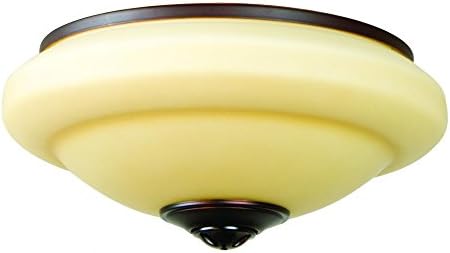 Craftmade Zelkcfl Ss 2 Light Bowl Fan Light Kit With Opal Frost