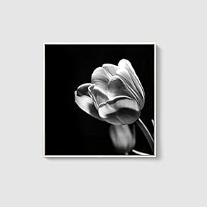 Framed Canvas Home Artwork Decoration Beautiful Flower Canvas Wall Art for Living Room, Bedroom - 16x16 inches