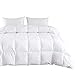 Wake In Cloud - Goose Down Comforter/Duvet Insert, 100% Cotton Shell, All Seasons 750+ Fill Power, 8 Tabs at Corners and Midpoints (White, Full Size)