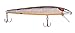 Smithwick Lures Suspending Super Rogue Junior Fishing Lure