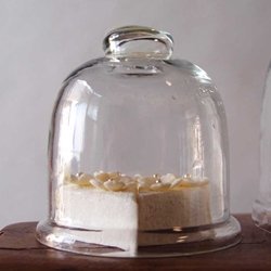Small Glass Cloche Cover Dome 4 x 4 inches CLEAR