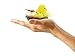 Easter Chicks, Fluffy Yellow Small Cute Easter Chenille Chicks and Egg in Nests, 12 Sets(Style 2)