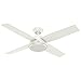 Hunter Dempsey Indoor Ceiling Fan with Remote Control