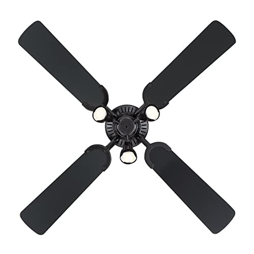 73061 Princess Euro, traditioneller 105 cm Deckenventilator mit Beleuchtung von Westinghouse Lighting, Ausführung in gebürstetem brüniertem Metall mit drei Strahlern