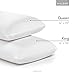 Z 100% Natural Talalay Latex Zoned Pillow, Queen - High Loft Plush