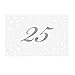 David Tutera Illusion Die Cut Lace Paper Table Number Cards - 25 Pieces