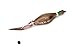 Remington Pheasant Large Foam Dog Trainer