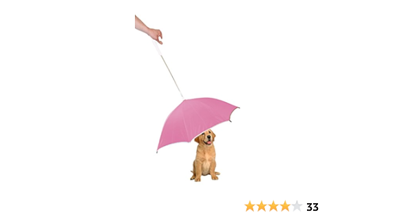 amazon dog umbrella