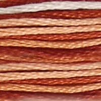 Warm Brown Variegated 69 - DMC Mouline Stranded