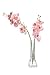 Flower/Bud Glass Vase Decorative Centerpiece for Home or Wedding by Royal Imports - Stripe Design 8.5
