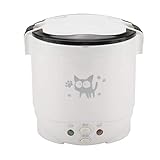 Portable Rice Cooker, Electric Cooler, 12V 100W 1L