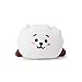BT21 Official Merchandise by Line Friends - RJ Mini Cushion Stuffed Pillow, White